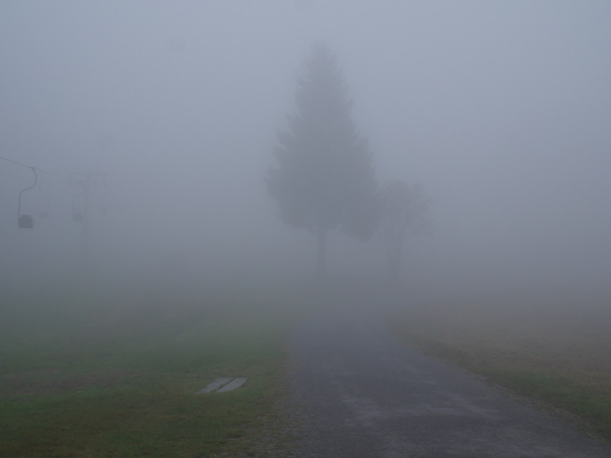 blue chairlift tree center