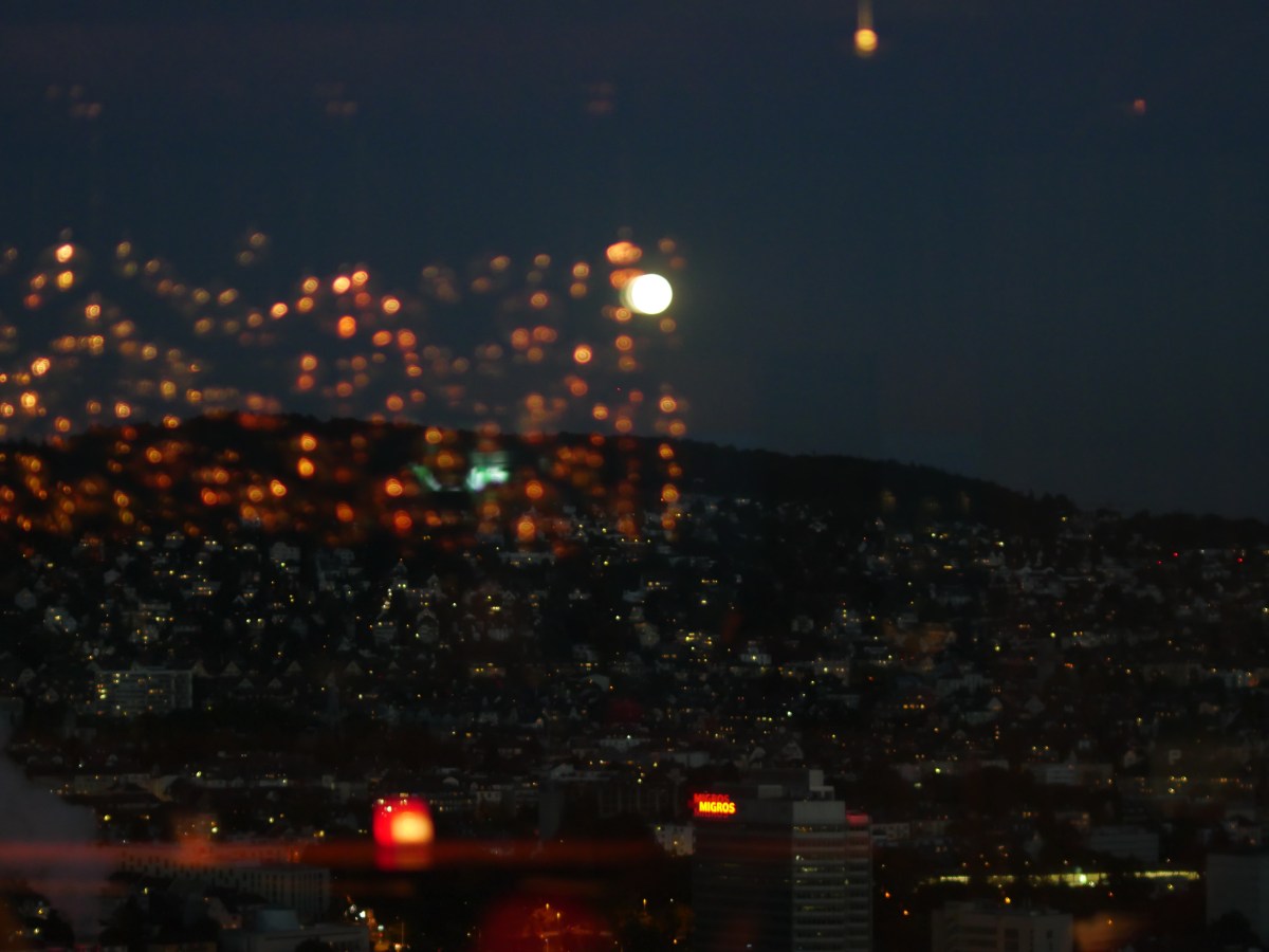 centered city in focus.jpg